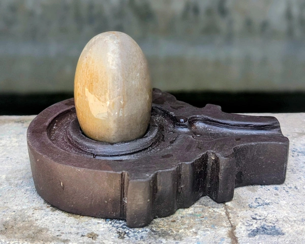 2 Inch  Narmadeshwar Shivling with Shakti Jaladhara
