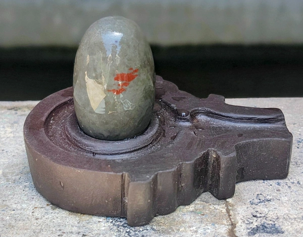 2 Inch  Narmadeshwar Shivling with Shakti Jaladhara