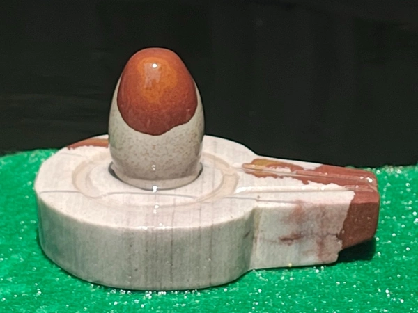 Spiritual Stone World 2 Inch Narmadeshwar Shivling with Shakti Jaladhara - 450