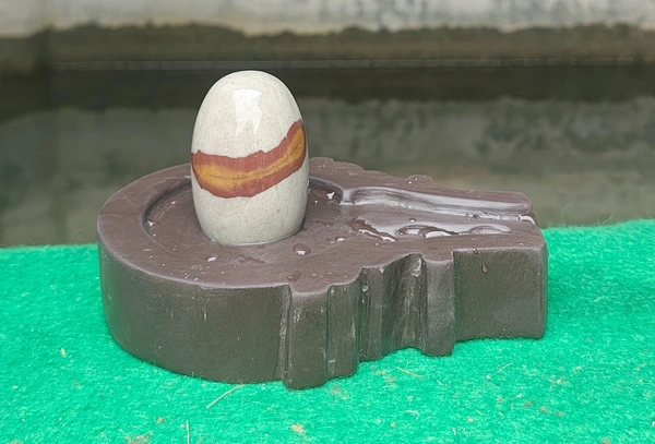 Spiritual Stone World 3 Inch Tilakdhari Shivling with 6 Inch Base - 3 Inch Shivling, Narmadeshwar Shivling, 1.1KG