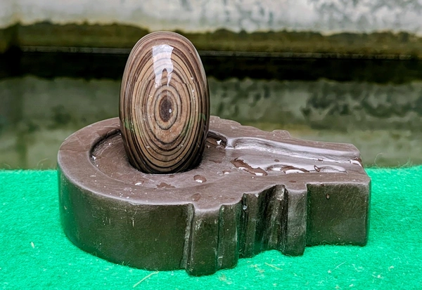 Spiritual Stone World 3 Inch Tilakdhari Shivling with 6 Inch Base - 3 Inch Shivling, Narmadeshwar Shivling, 1.1KG
