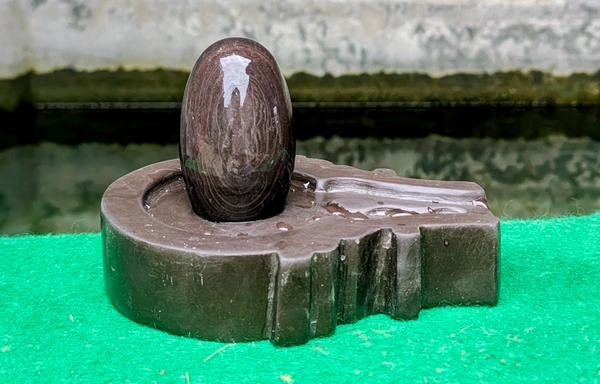 Spiritual Stone World 3 Inch Tilakdhari Shivling with 6 Inch Base - 3 Inch Shivling, Narmadeshwar Shivling, 1.1KG