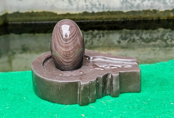 Spiritual Stone World 3 Inch Tilakdhari Shivling with 6 Inch Base - 3 Inch Shivling, Narmadeshwar Shivling, 1.1KG