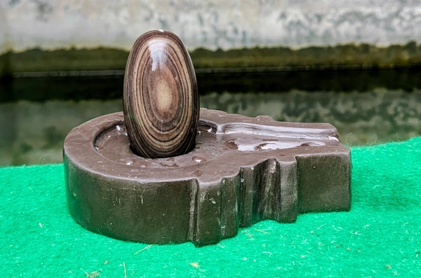 Spiritual Stone World 3 Inch Tilakdhari Shivling with 6 Inch Base - 3 Inch Shivling, Narmadeshwar Shivling, 1.1KG