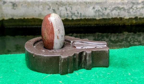 Spiritual Stone World 3 Inch Ardhanarishwar Shivling with 6 Inch Base - 3 Inch Shivling, Narmadeshwar Shivling, 1.1KG