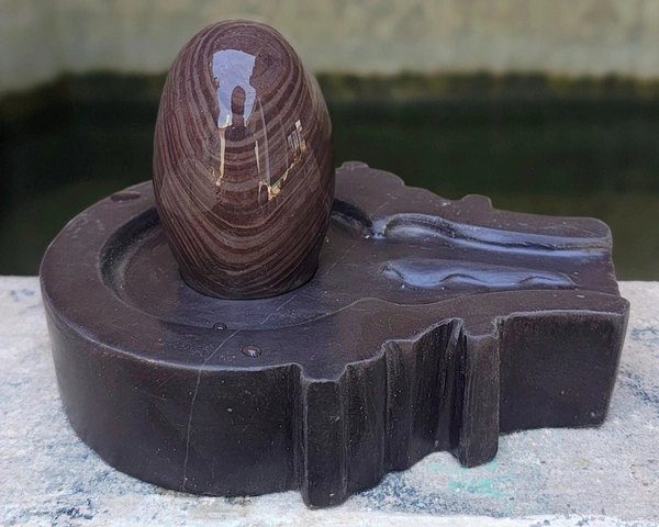Spiritual Stone World 3 Inch Janeudhari Shivling 6 Inch Jaladhara