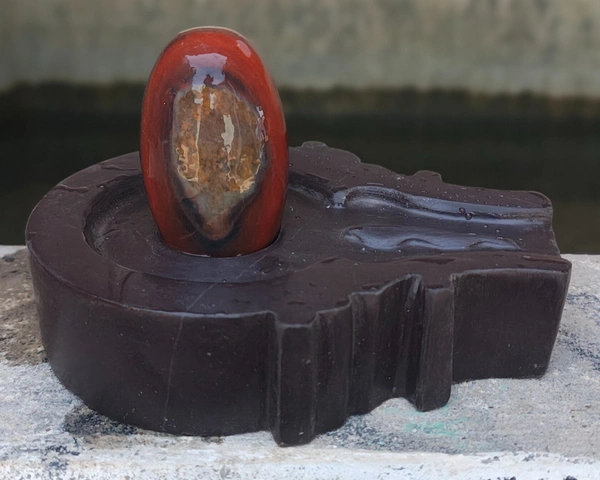 Spiritual Stone World 3 Inch Gajanand Shivling 6 Inch Jaladhara