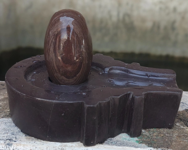 Spiritual Stone World 3 Inch Janeudhari Shivling 6 Inch Jaladhara