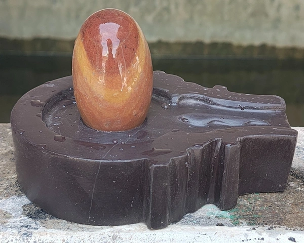Spiritual Stone World 3 Inch Vekunt Prapti Shivling 6 Inch Jaladhara