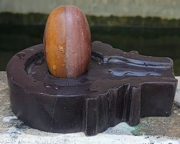Spiritual Stone World 3 Inch Original Ardhanarishwar Shivling 6 Inch Jaladhara