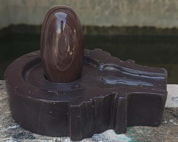 Spiritual Stone World 3 Inch Janeudhari Shivling 6 Inch Jaladhara