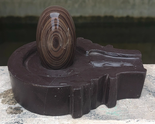 Spiritual Stone World 3 Inch Janeudhari Shivling 6 Inch Jaladhara