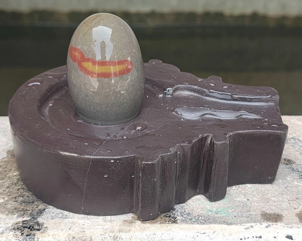 Spiritual Stone World 3 Inch Tilak Shivling 6 Inch Jaladhara