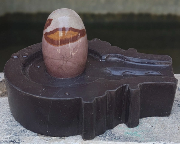 Spiritual Stone World 3 InchTripund Dhari Shivling 6 Inch Jaladhara