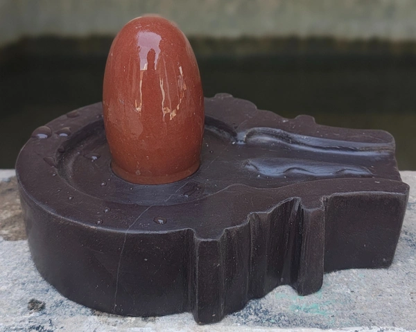 Spiritual Stone World 3 Inch Narmadeshwar Shivling 6 Inch Jaladhara