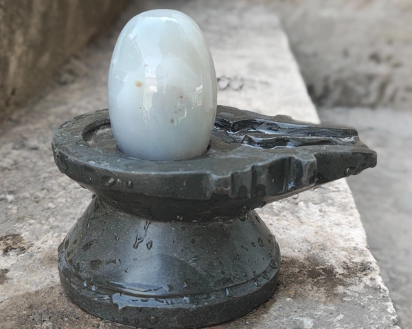 Spiritual Stone World 3 Inch Narmadeshwar 6 Inch Damru Jaladhara