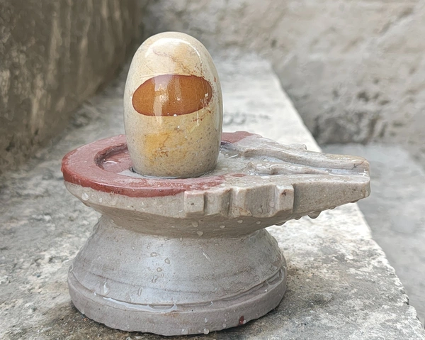 Spiritual Stone World 3 Inch Narmadeshwar 6 Inch Damru Jaladhara