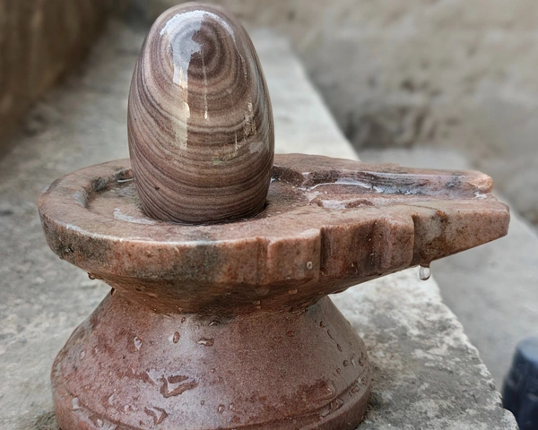 Spiritual Stone World 3 Inch Narmadeshwar 6 Inch Damru Jaladhara