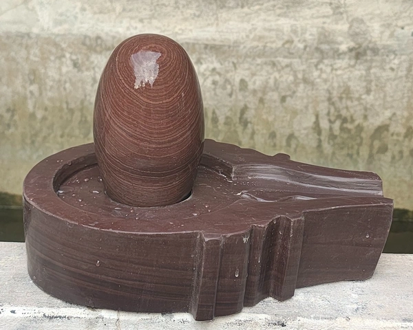 Spiritual Stone World 6 Inch Shivling 12 Inch Plat Jaladhara