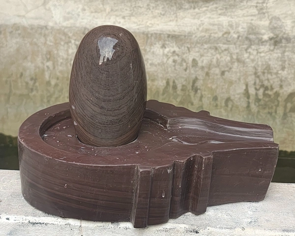 Spiritual Stone World 6 Inch Shivling 12 Inch Plat Jaladhara