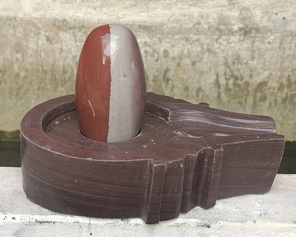 Spiritual Stone World 6 Inch Shivling 12 Inch Plat Jaladhara