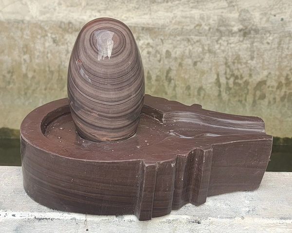 Spiritual Stone World 6 Inch Shivling 12 Inch Plat Jaladhara