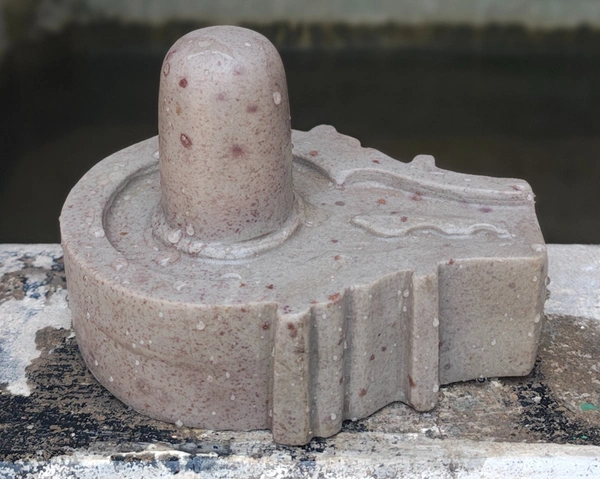 Spiritual Stone World Akhand 3 Inch Shivling 6 Inch Plat Jaladhara