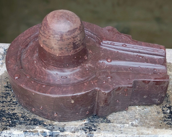 Spiritual Stone World Akhand 3 Inch Shivling 6 Inch Plat Jaladhara