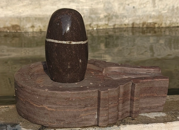 5 Inch Narmadeshwar Shivling with 10 inch Jaladhara