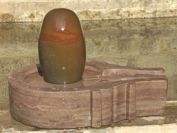 5 Inch Narmadeshwar Shivling with 10 inch Jaladhara