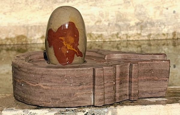 5 Inch Narmadeshwar Shivling with 10 inch Jaladhara
