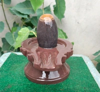 Spiritual Stone World 4 Inch Shivling 8 Inch Jaladhara 