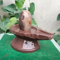 Spiritual Stone World 4 Inch Shivling 8 Inch Jaladhara 