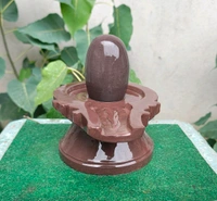 Spiritual Stone World 4 Inch Shivling 8 Inch Jaladhara 