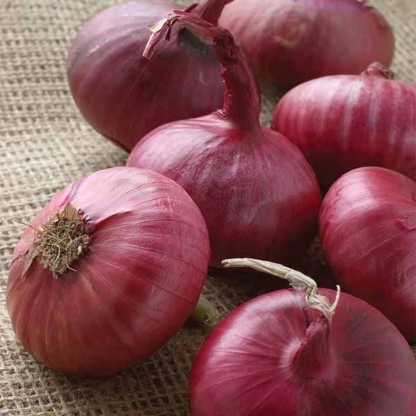 Onion