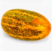 Cucumber Madras { Dosakaya}-1kg