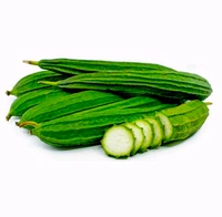 Ridge gourd -500g
