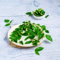 Curry Leaves-100g ( Karivepaku )
