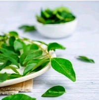 Curry Leaves-100g ( Karivepaku )