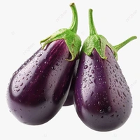 Brinjal -500 grams