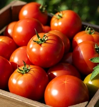 Vegetables -1 Kg