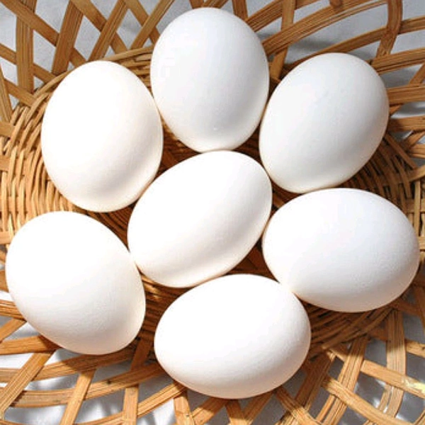 Junaki Eggs 