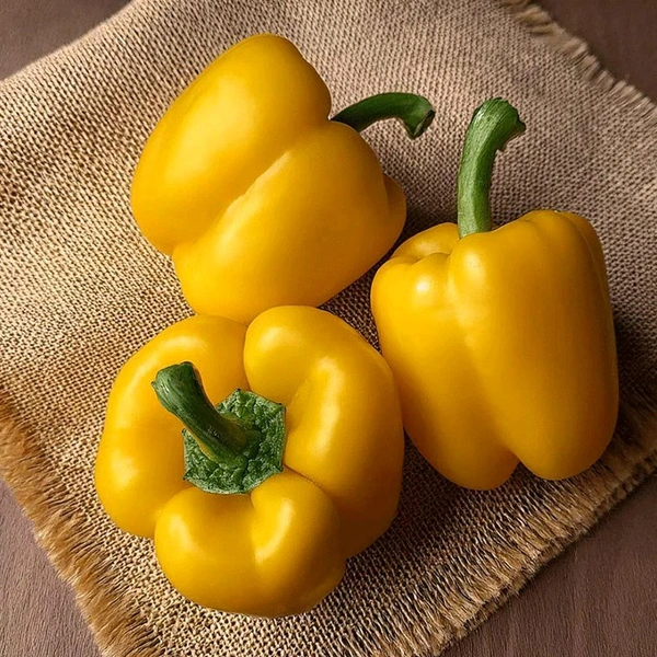 Capsicum Yellow 🟡