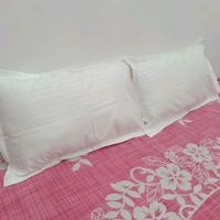 Twokart Plain Cushion & Pillow Cover (Pack Of 2, White, Cotton) (Pillow23) - White, 47×70