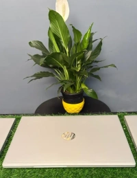 HP ProBook 450 G6 8th Gen (Refurbished) - Silver, A, Corei5 8th, 15.6, 256GB, 8GB