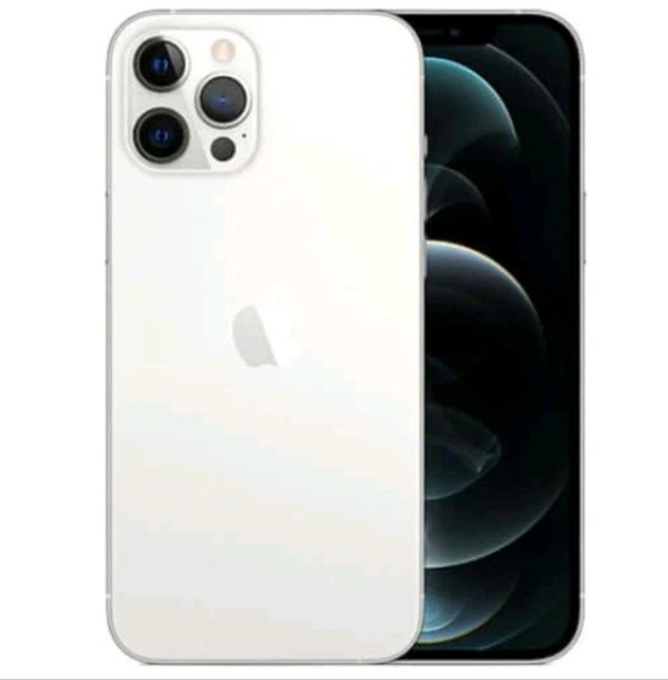 Apple iPhone 12 Pro Max 