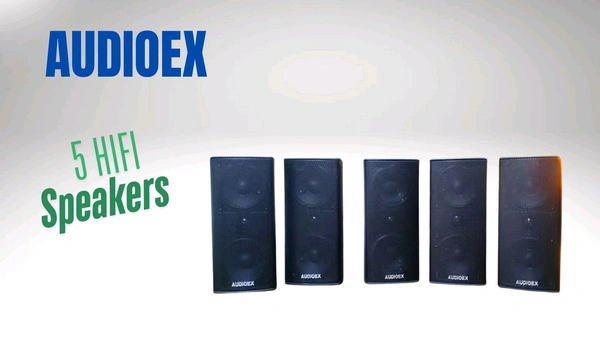 AUDIOEX  Audioex Hifi 5 Speaker Box 