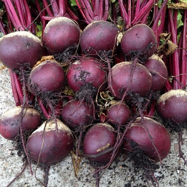 BEETROOT - 1KG