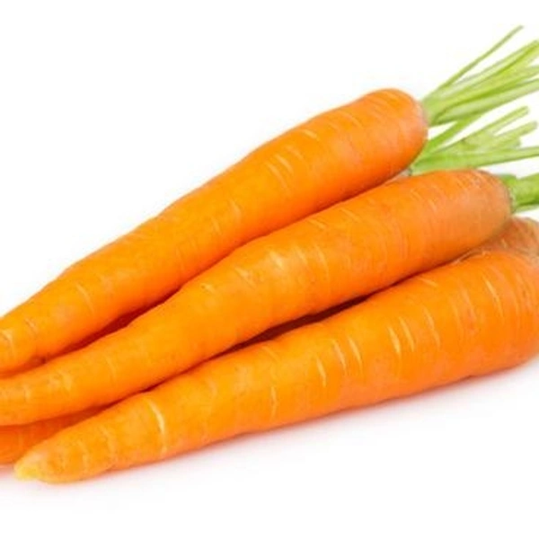 CARROT