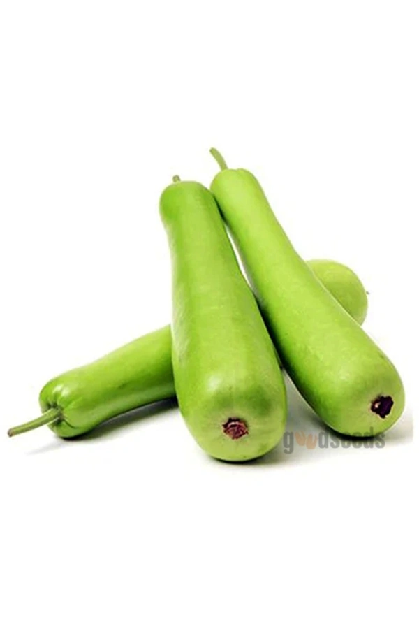 புடலங்காய் - 250GM